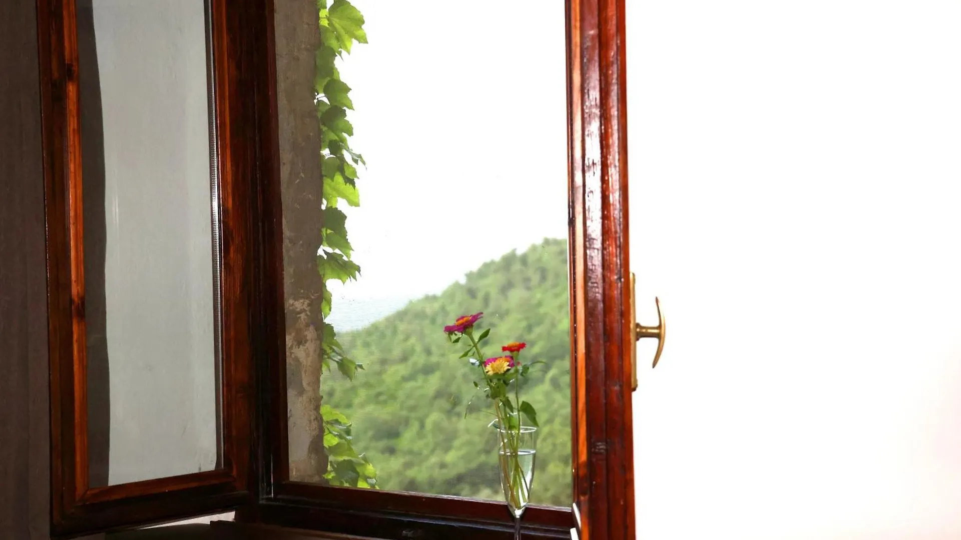 Casa Marju Guest House Montemassi